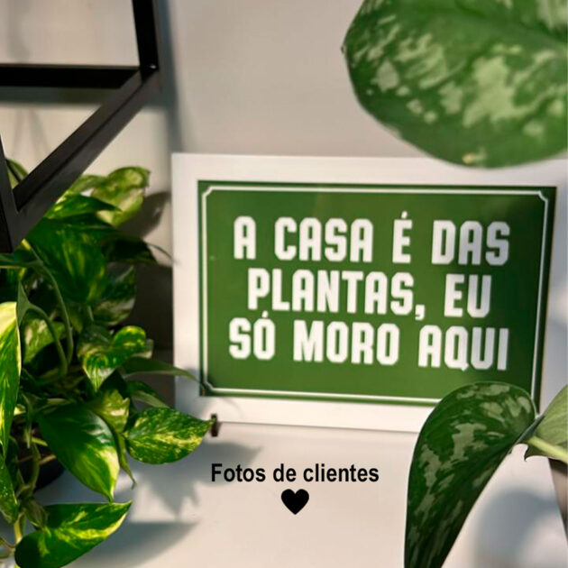 Azulejo decorativo para cantinho das plantas com frase A casa é das plantas, eu só moro aqui - Image 5
